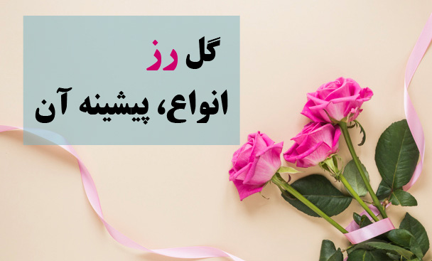 خرید گل رز