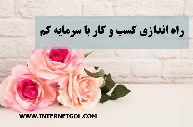 کسب و کار با سرمایه کم