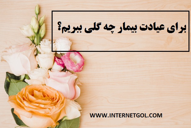 گل عبادت بیمار