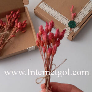 گل خشک تلخک(شمع و رزین و گیفت) - Image 3