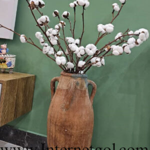 گل خشک پنبه - Image 4