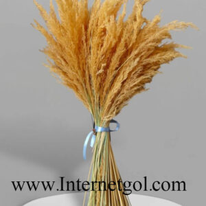 گل خشک قمیش - Image 5