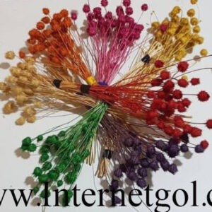 گل خشک فندقی - Image 3