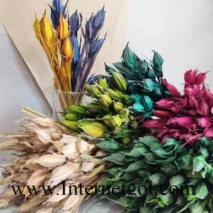 گل خشک زنبق - Image 3