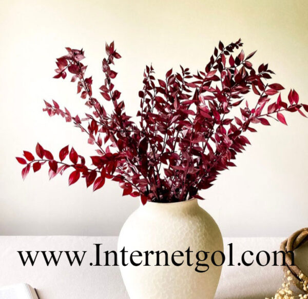 Dried-leaves-except-1