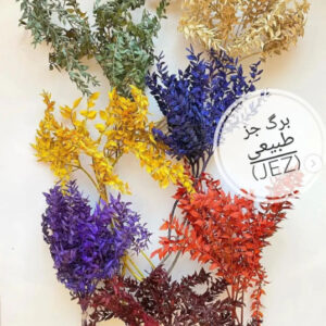 برگ خشک جز - Image 3