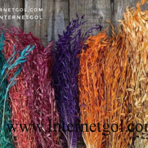 گل خشک یولاف - Image 3