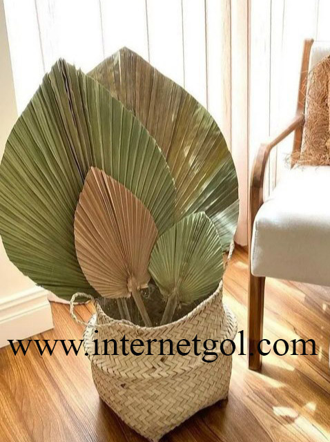 Dried-palm-flowers-01
