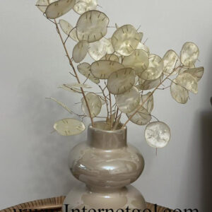 گل خشک لوناریا درشت - Image 3