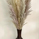 Pampas-dried-flower