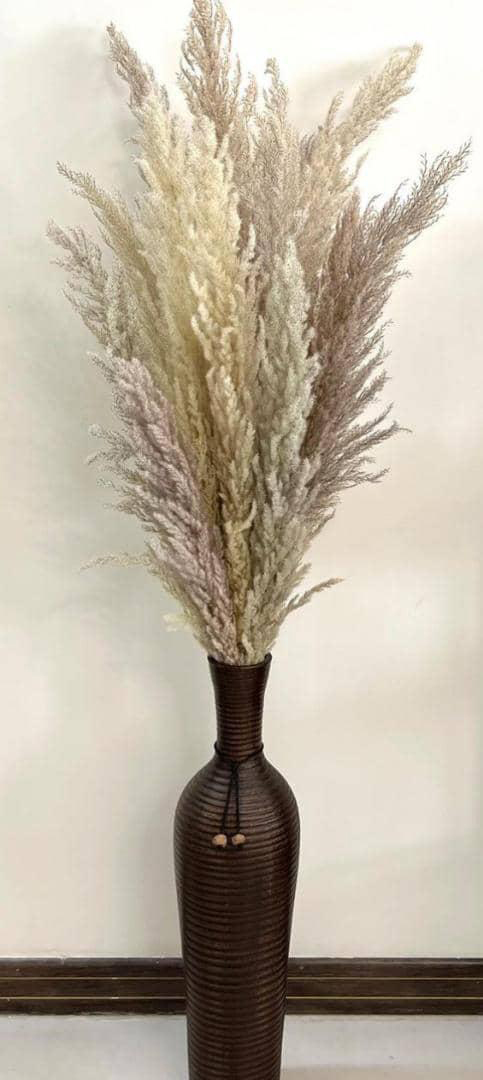 Pampas-dried-flower