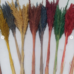 گل خشک قمیش - Image 3