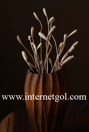 Dried-anemone-flower-01