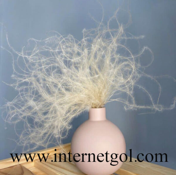 Dried-flowers-of-Baba's-beard-1 گل ریش بابا