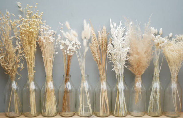 چرا گلهای خشک محبوب شده اند؟