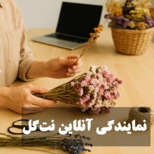 نمایندگی آنلاین نت گل