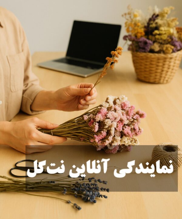 نمایندگی آنلاین نت گل