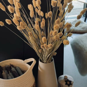 گل توت فرنگی