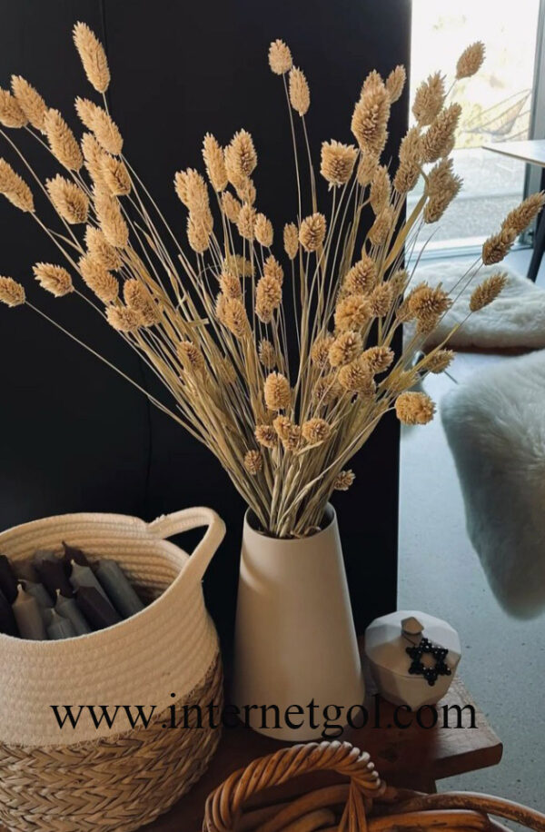 گل توت فرنگی